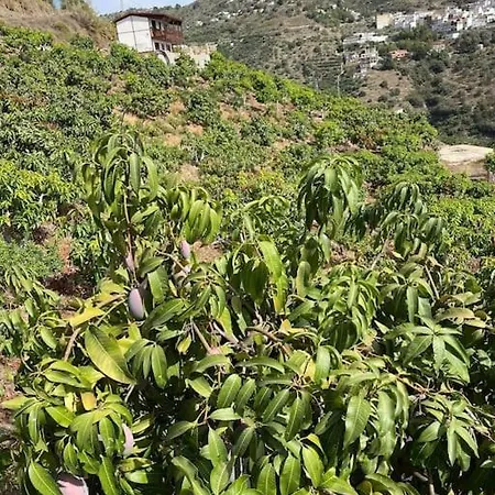 Escape To Sunny Competa, Mountain Views, Pool & Great Off-Peak Rates From October To March *